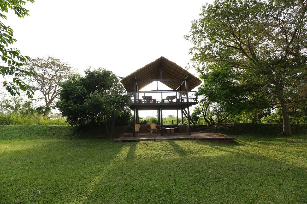 Sigiriyajungles Resort & Spa מראה חיצוני תמונה