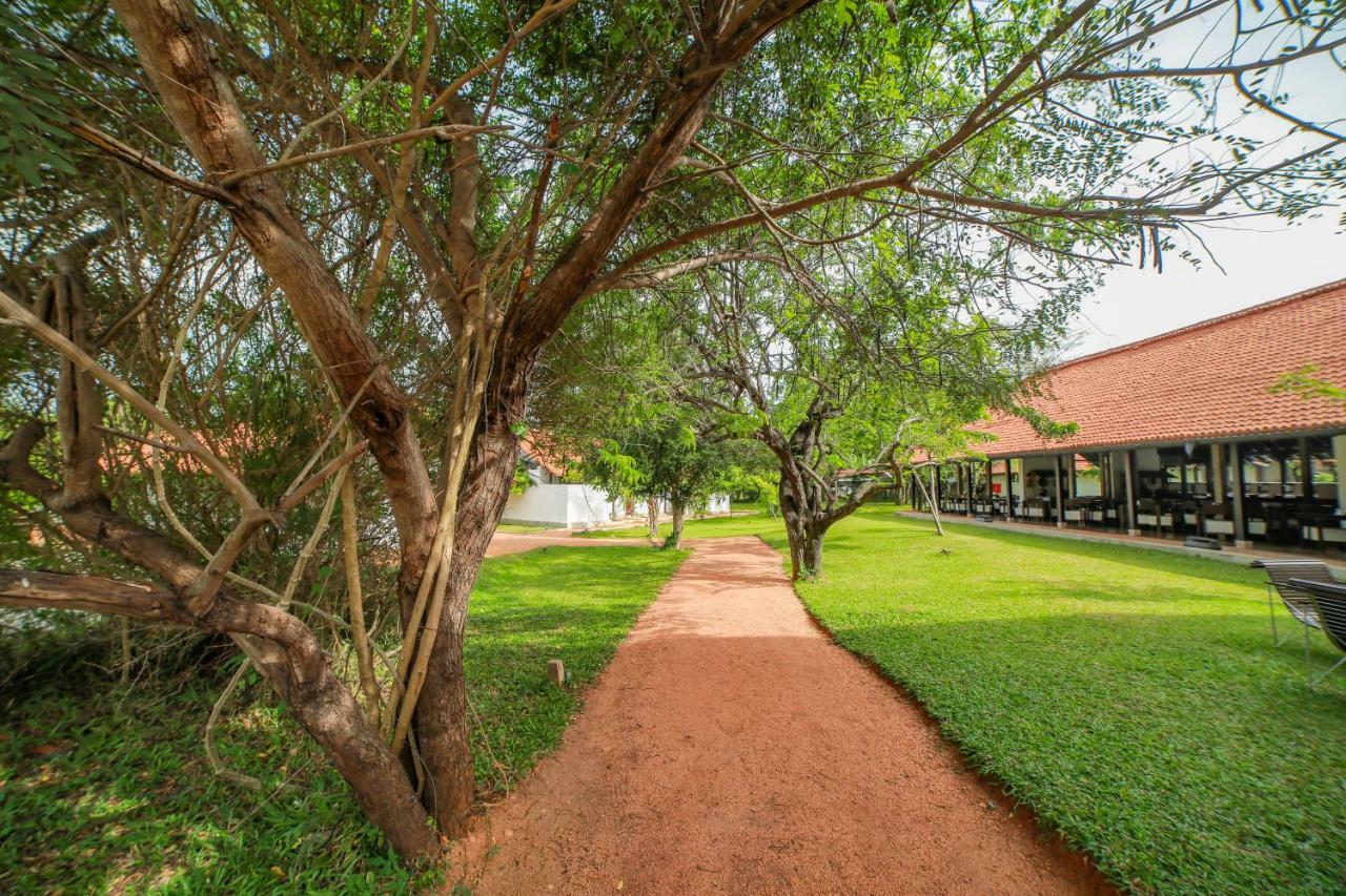 Sigiriyajungles Resort & Spa מראה חיצוני תמונה